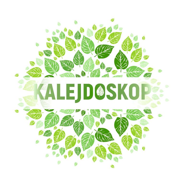 FESTIWAL “KALEJDOSKOP” 2019