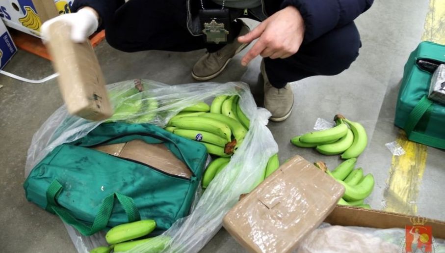 Kartele często się mylą i transporty kokainy w bananach lądują w sieciach sklepów spożywczych (fot. KSP)