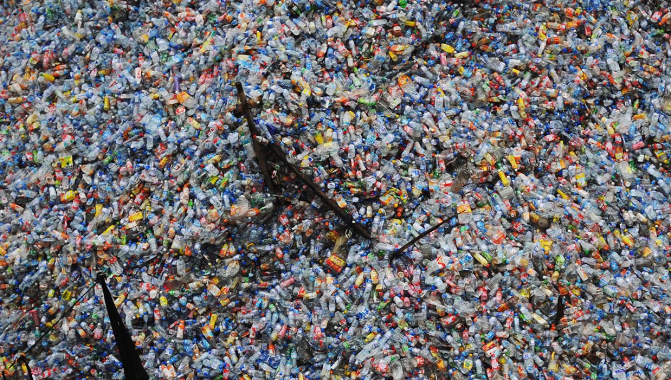 Na plastikowej diecie mogą nawet przytyć (fot. China Photos/Getty Images).