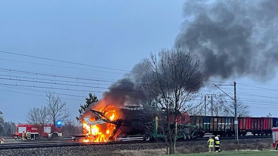 (fot. policja Gniezno)