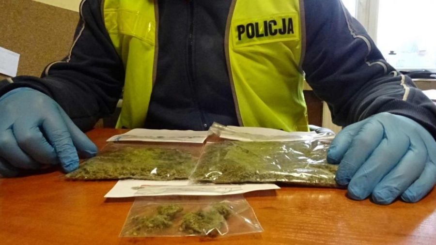 Policjanci marihuanę, z której można było przygotować blisko 40 działek dilerskich narkotyku. Fot. Policja Śląska