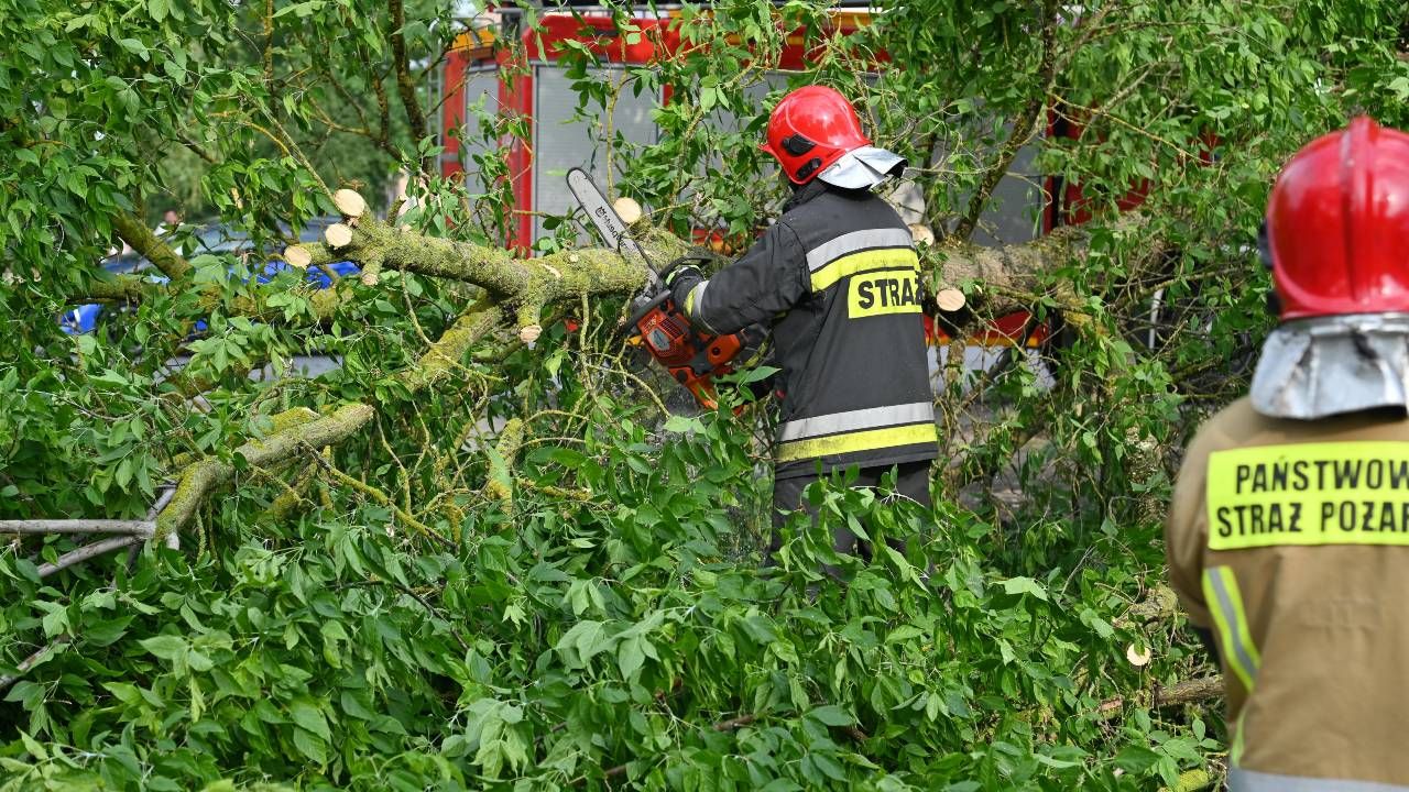 Główne działania strażaków polegały na udrażnianiu szlaków komunikacyjnych z wiatrołomów (fot. PAP/Marcin Bielecki) Główne działania strażaków polegały na udrażnianiu szlaków komunikacyjnych z wiatrołomów (fot. PAP/Marcin Bielecki)