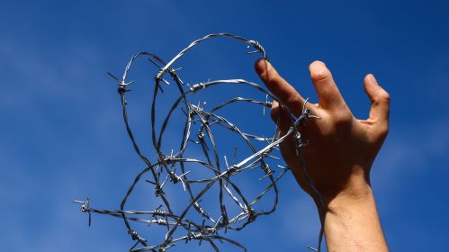 Мужчина держит колючую проволоку во время демонстрации. Снимок имеет иллюстративный характер. Фото: Beata Zawrzel / NurPhoto via Getty Images