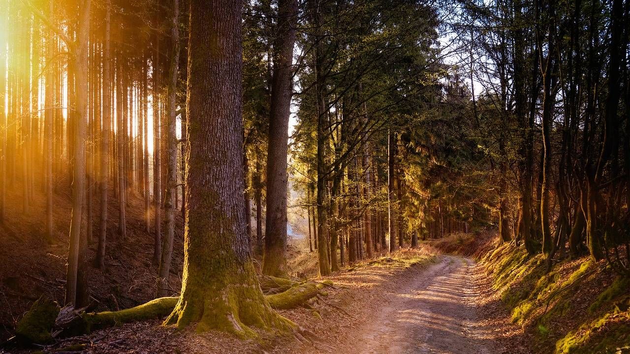 Wyż przyniósł poprawę pogody (fot. Pixabay) Wyż przyniósł poprawę pogody (fot. Pixabay)
