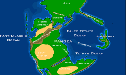 Pangea (gr. Wszechziemia) – superkontynent istniejący między 300 a 180 mln lat temu. Uformował się w karbonie, na skutek zamknięcia się paleozoicznego oceanu Reik oraz kolizji kontynentów Laurosji i Gondwany. Towarzyszyło temu intensywne wypiętrzanie się gór. Grafika: geografia superkontynentu Pangei w triasie. Fot. Wikimedia Commons/Dropzink – praca własna (na http://www.scotese.com/newpage8.htm i dodana do strony nt. dinozaurów http://www.synthlog.com/dinosauriax/triasico.htm), CC BY-SA 2.5