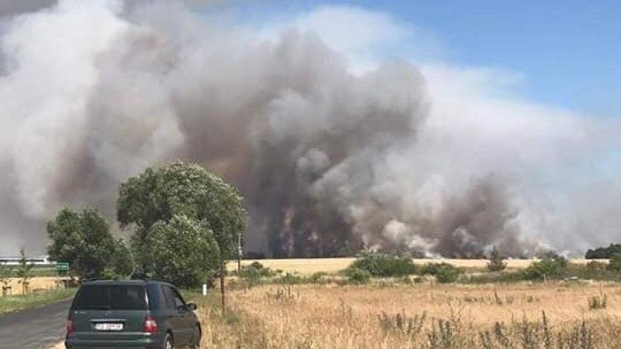 Pożar pola w Konarzewie. Kilkanaście zastępów straży w akcji. Fot. Facebook/ gm. Dopiewo