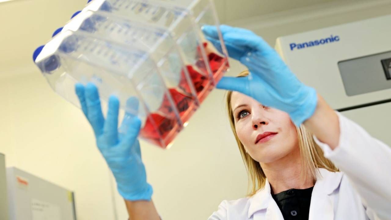 Kompozyt składa się z różnych biomateriałów (fot. UMK/Andrzej Romański) Kompozyt składa się z różnych biomateriałów (fot. UMK/Andrzej Romański)
