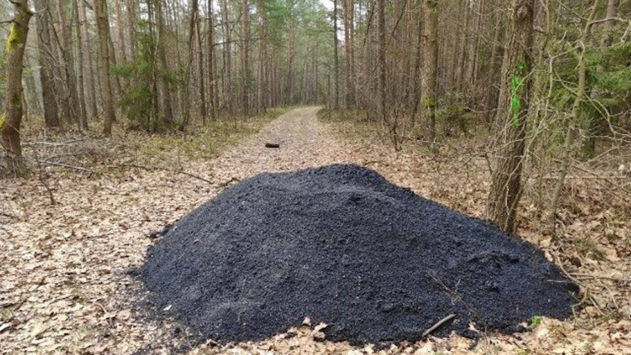 W Nadleśnictwie Chrzanów wylano... asfalt (fot. tt/@LPanstwowe) W Nadleśnictwie Chrzanów wylano... asfalt (fot. tt/@LPanstwowe)