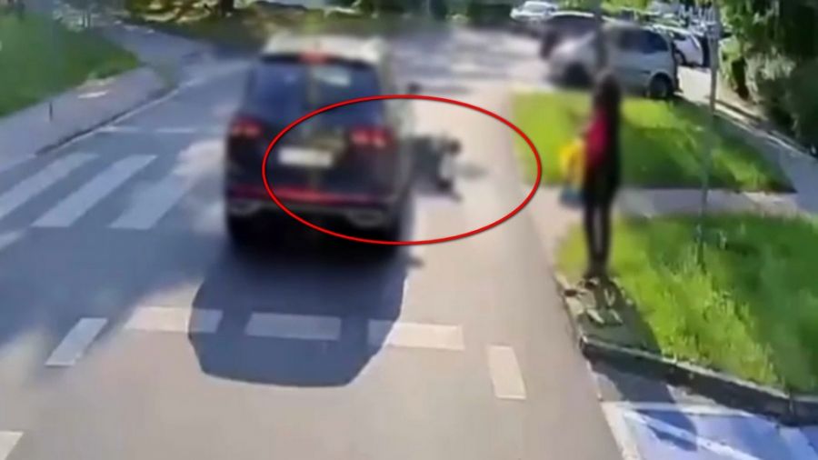 źródło: Policja Lubuska