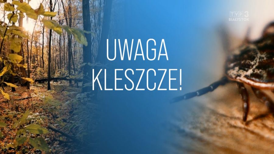 fot. TVP3 Białystok 