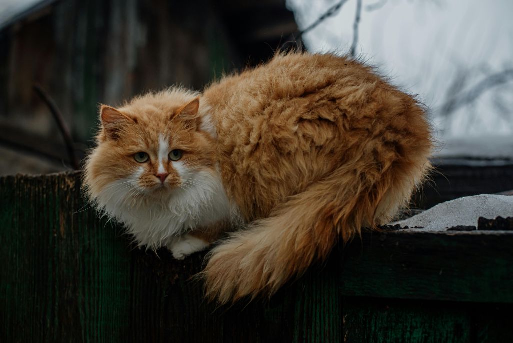 Здымак мае ілюстрацыйны характар. Фота: pexels.com