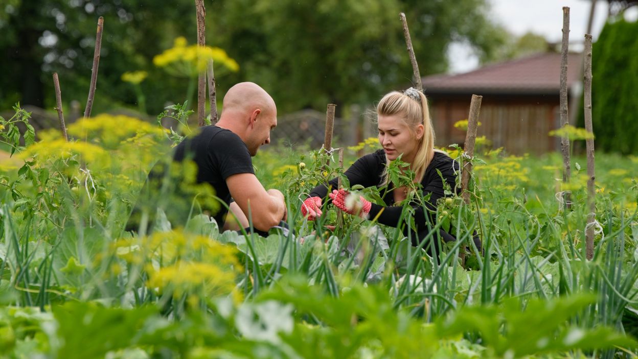 U rolników nadszedł czas intensywnego randkowania. Ale czy można tak nazwać wspólną pracę w ogrodzie? (fot. TVP)