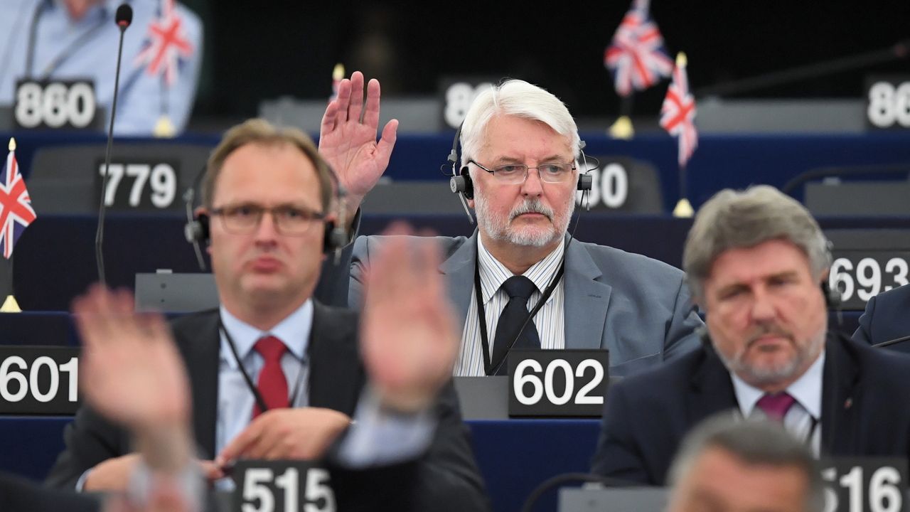 Eurodeputowany Witold Waszczykowski (w środku, fot: PAP/Radek Pietruszka)