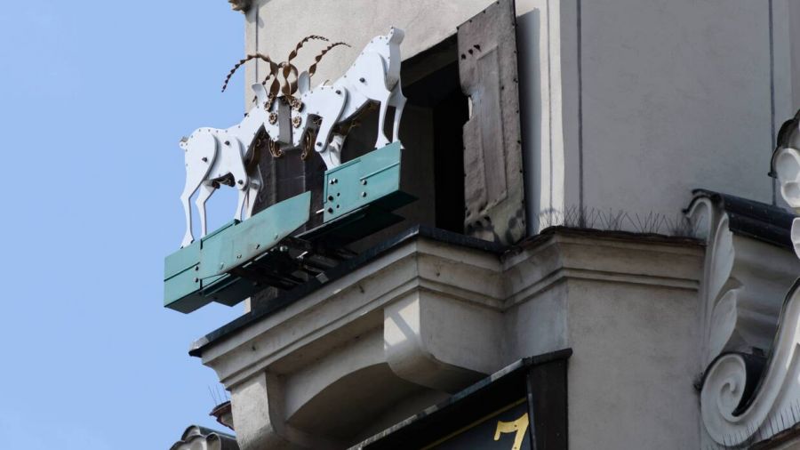 Awaria poznańskich koziołków. Przesunięcie terminu uruchomienia (fot. PAP/Jakub Kaczmarczyk)