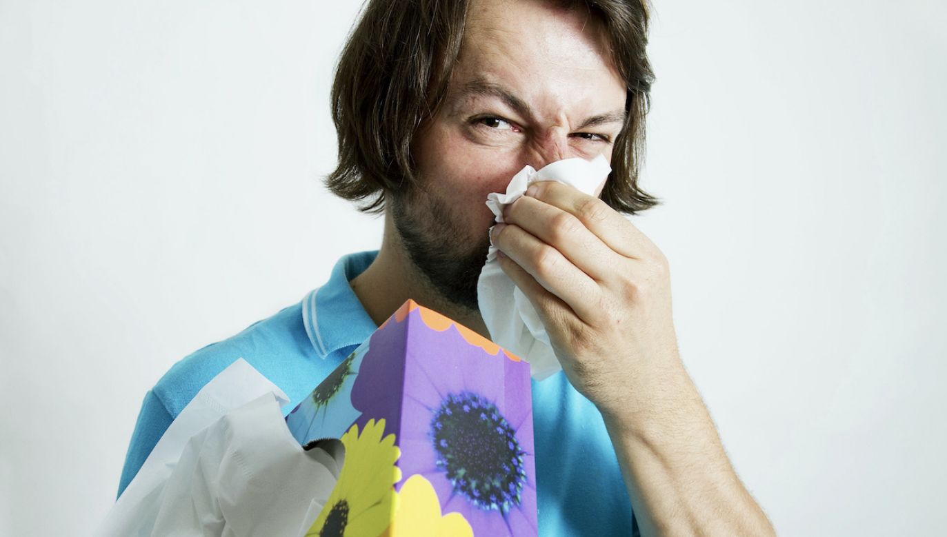 Zdaniem eksperta alergia jest samonakręcają się chorobą (fot. Universal Images Group via Getty Images)