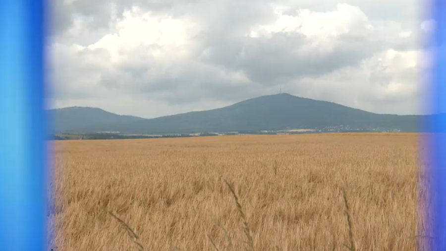 (fot. TVP3 Wrocław)