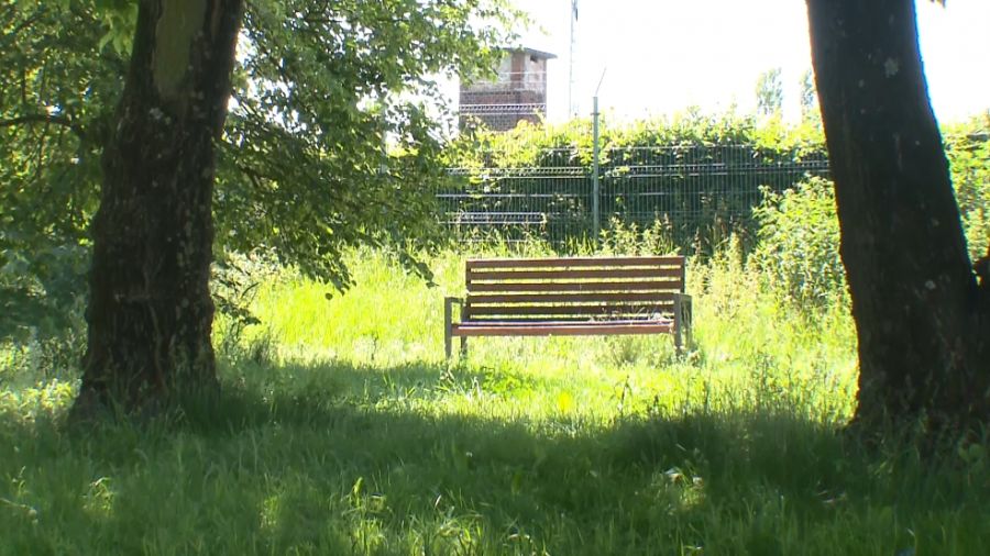 19-letni Wenezuelczyk miał zadać kobiecie w parku kilkanaści ciosów nożem
