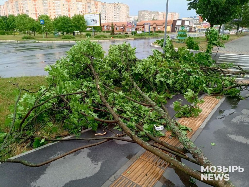 Наступствы ўрагану ў Мазыры, 14 ліпеня 2024 году. (Фота: mozyr_news / Telegram)