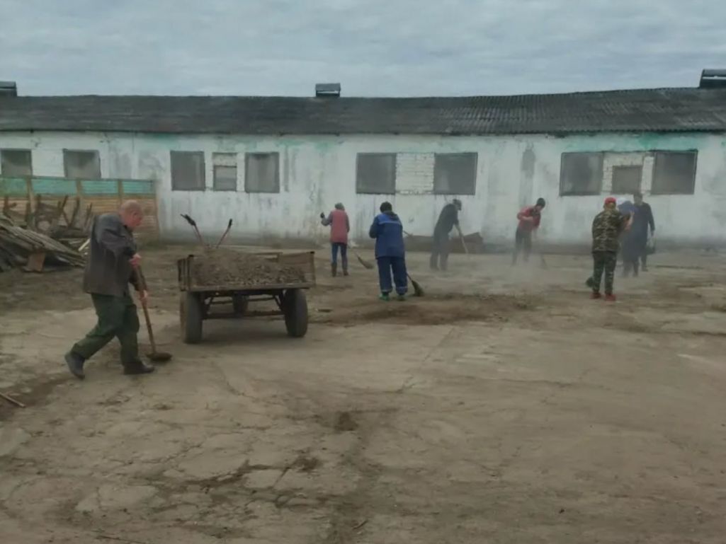 Суботкіік у ААТ «Палыкавiчы», Магілёўская вобласць, Беларусь. 22 красавіка 2024 года. Фота: Polukovichi / Instagram