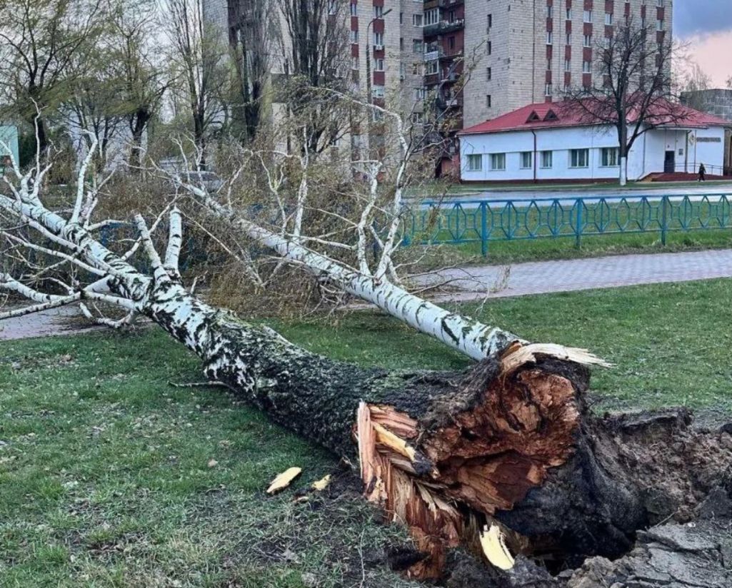 Наступствы ўрагану ў Мазыры. 2 красавіка 2024 года. (Фота: gorodmozyr / Telegram)