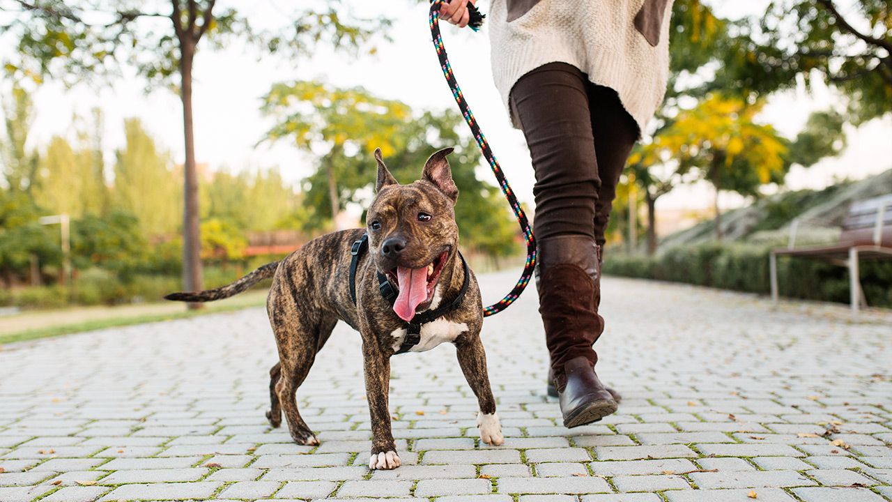 Zmiany będą obowiązywać od najbliższej soboty (fot. Shutterstock) Zmiany będą obowiązywać od najbliższej soboty (fot. Shutterstock)