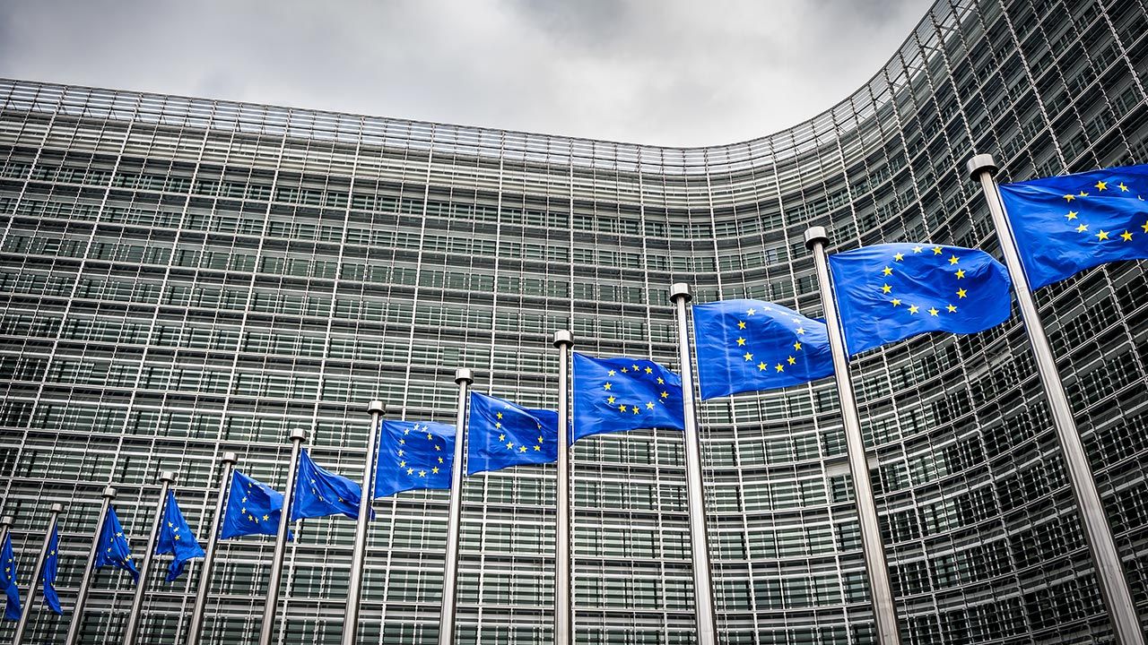 Niektórzy politycy w UE uznali, że nowe regulacje są wymierzone w homoseksualistów (fot. Shutterstock/lazyllama)