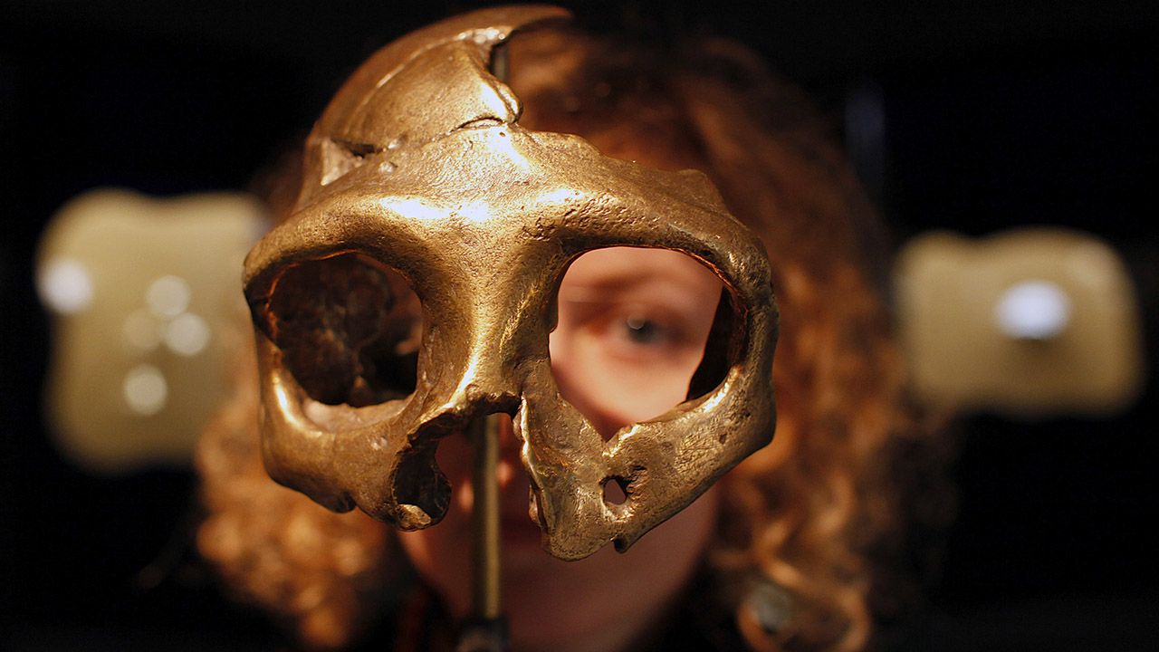 Neandertalczycy zostawili naszym przodkom niemałe dziedzictwo genetyczne (fot. REUTERS/Nikola Solic)