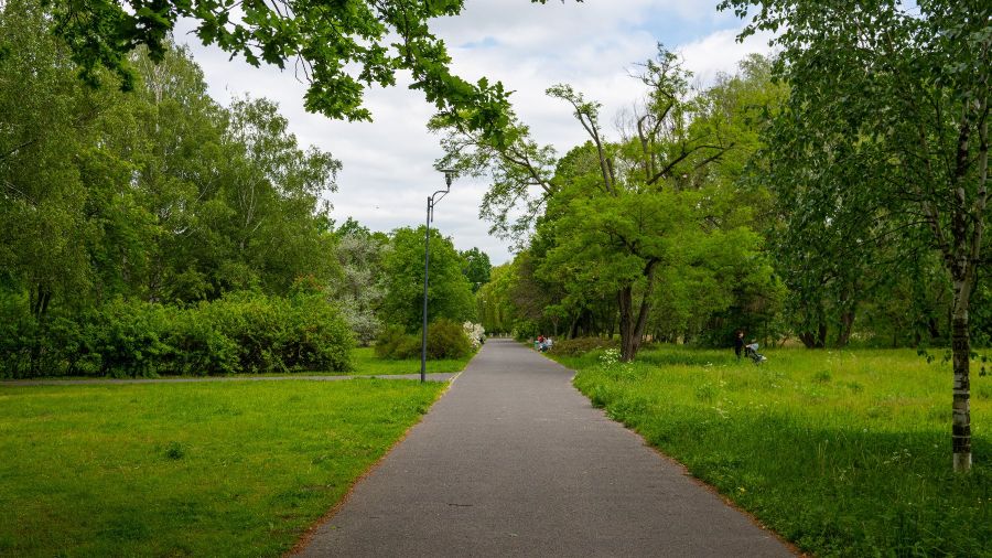 Poznań, park Jana Pawła II, Aquanet, piknik, Noc Świętojańska (fot. UM Poznań)