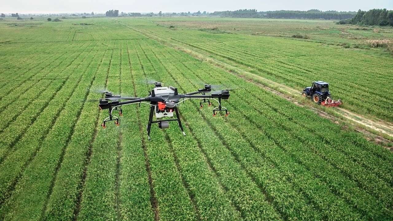 Całkowity koszt projektu wynosi niemal 9 mln zł (fot. Pexels) Całkowity koszt projektu wynosi niemal 9 mln zł (fot. Pexels)