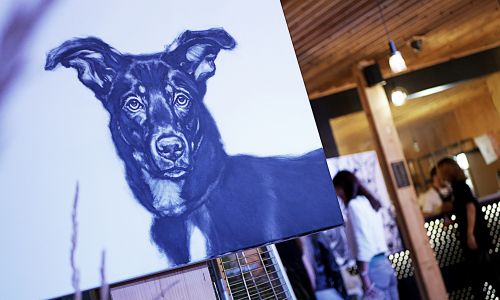 Każdy psiak zasługiwał na swój portret (fot. tvp.info)