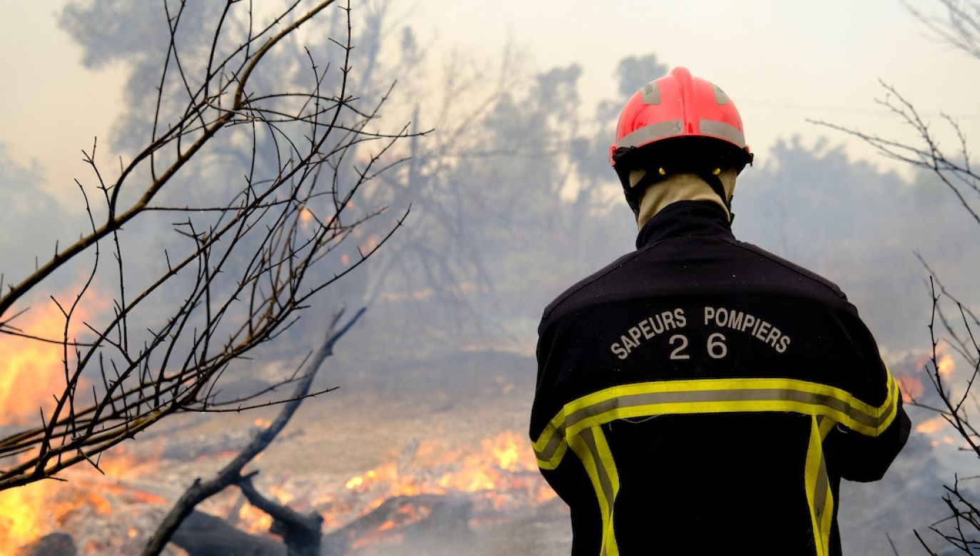 Francja od dłuższego czasu zmaga się z pożarami (fot. Getty Images)