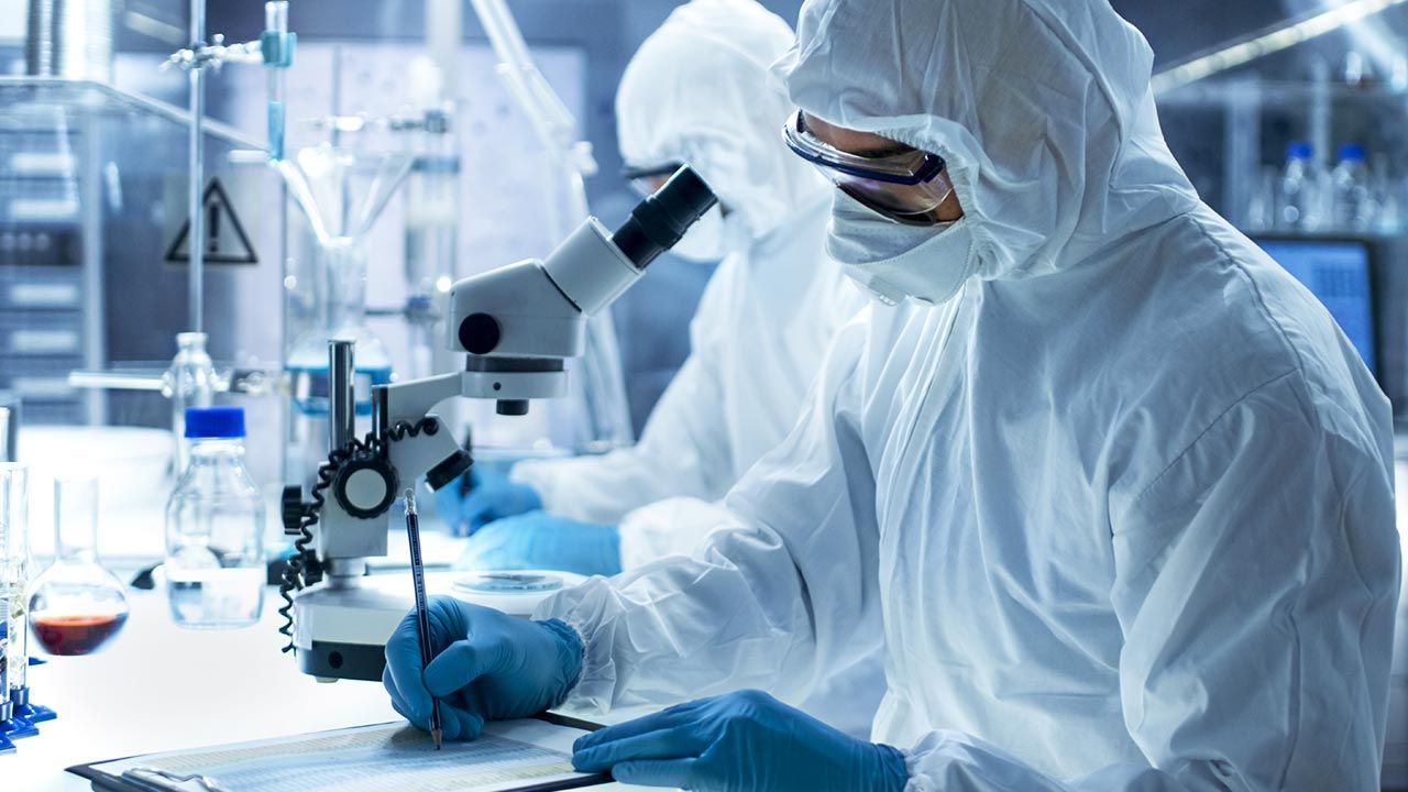 Źródłem pierwszego zakażenia koronawirusem – niezależnie od lokalizacji infekcji – był najprawdopodobniej nietoperz (fot. Shutterstock/Gorodenkoff) Źródłem pierwszego zakażenia koronawirusem – niezależnie od lokalizacji infekcji – był najprawdopodobniej nietoperz (fot. Shutterstock/Gorodenkoff)
