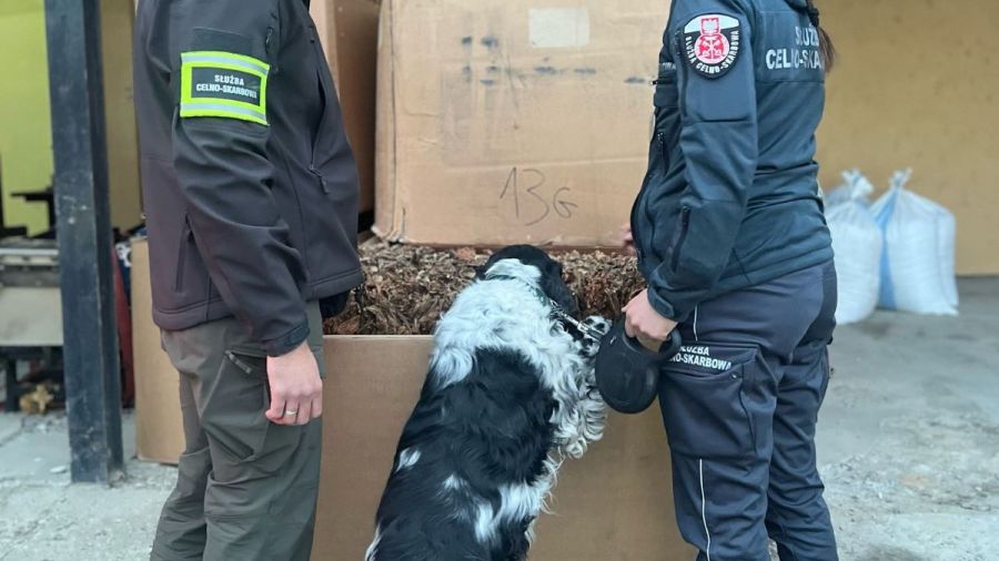 Funkcjonariusze podkarpackiej KAS zlikwidowali nielegalną krajalnię tytoniu