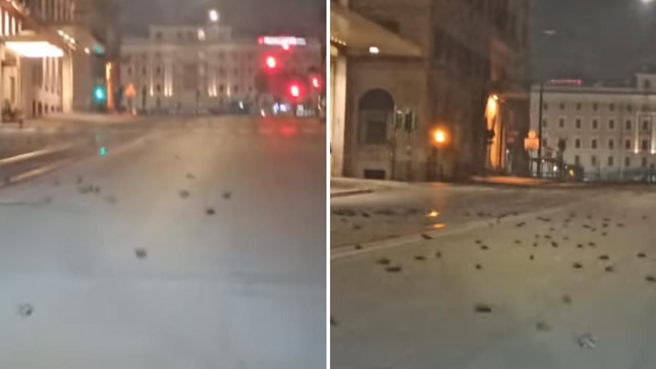 O północy rozpoczęła się kanonada (fot. YouTube/Diego Fenicchia) O północy rozpoczęła się kanonada (fot. YouTube/Diego Fenicchia)
