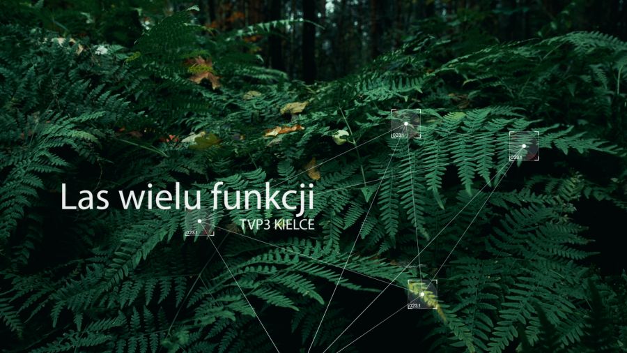 Las wielu funkcji