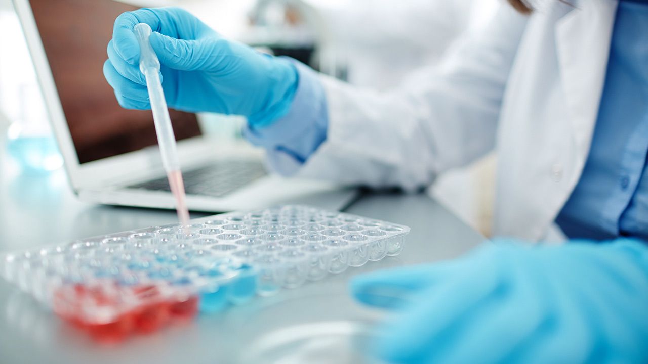 Polacy pracują nad sztuczną trzustką (fot. Shutterstock/Pressmaster) Polacy pracują nad sztuczną trzustką (fot. Shutterstock/Pressmaster)