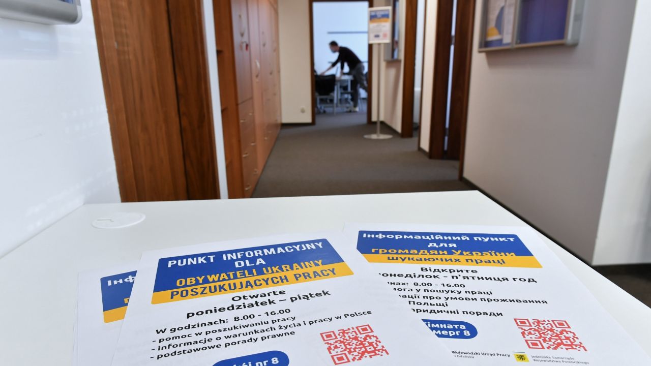 Poland leads OECD countries in employing displaced Ukrainians